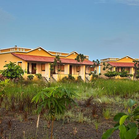 Blackbuck Safari Lodge Velavadar Bavliari المظهر الخارجي الصورة