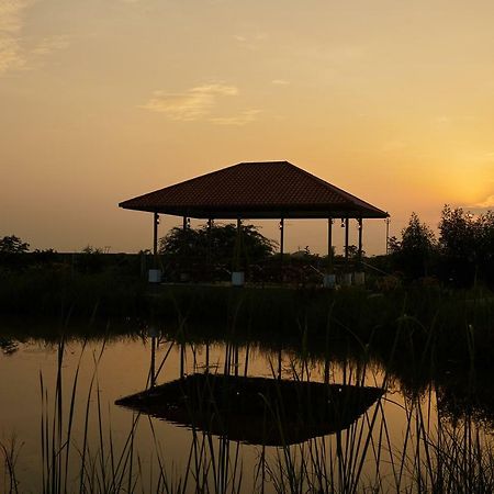Blackbuck Safari Lodge Velavadar Bavliari المظهر الخارجي الصورة