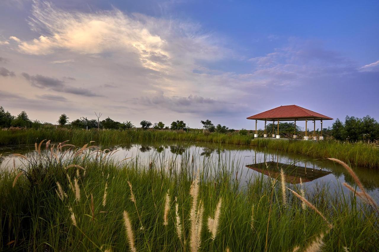 Blackbuck Safari Lodge Velavadar Bavliari المظهر الخارجي الصورة
