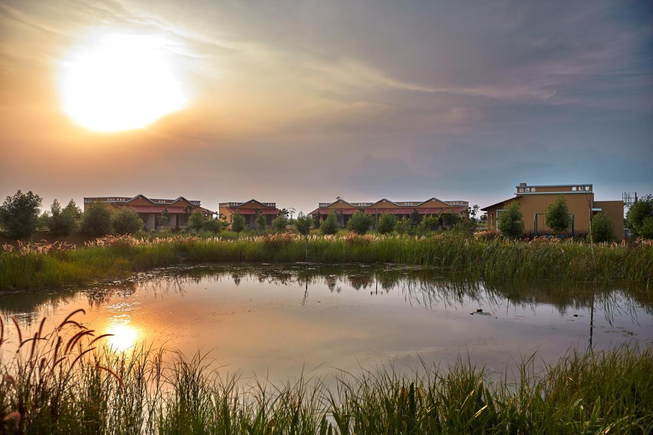 Blackbuck Safari Lodge Velavadar Bavliari المظهر الخارجي الصورة