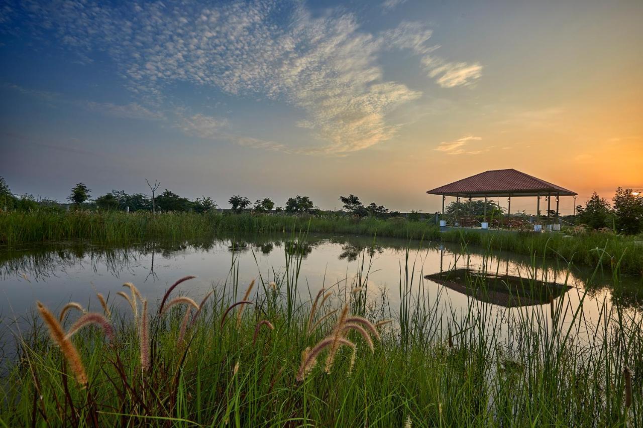 Blackbuck Safari Lodge Velavadar Bavliari المظهر الخارجي الصورة