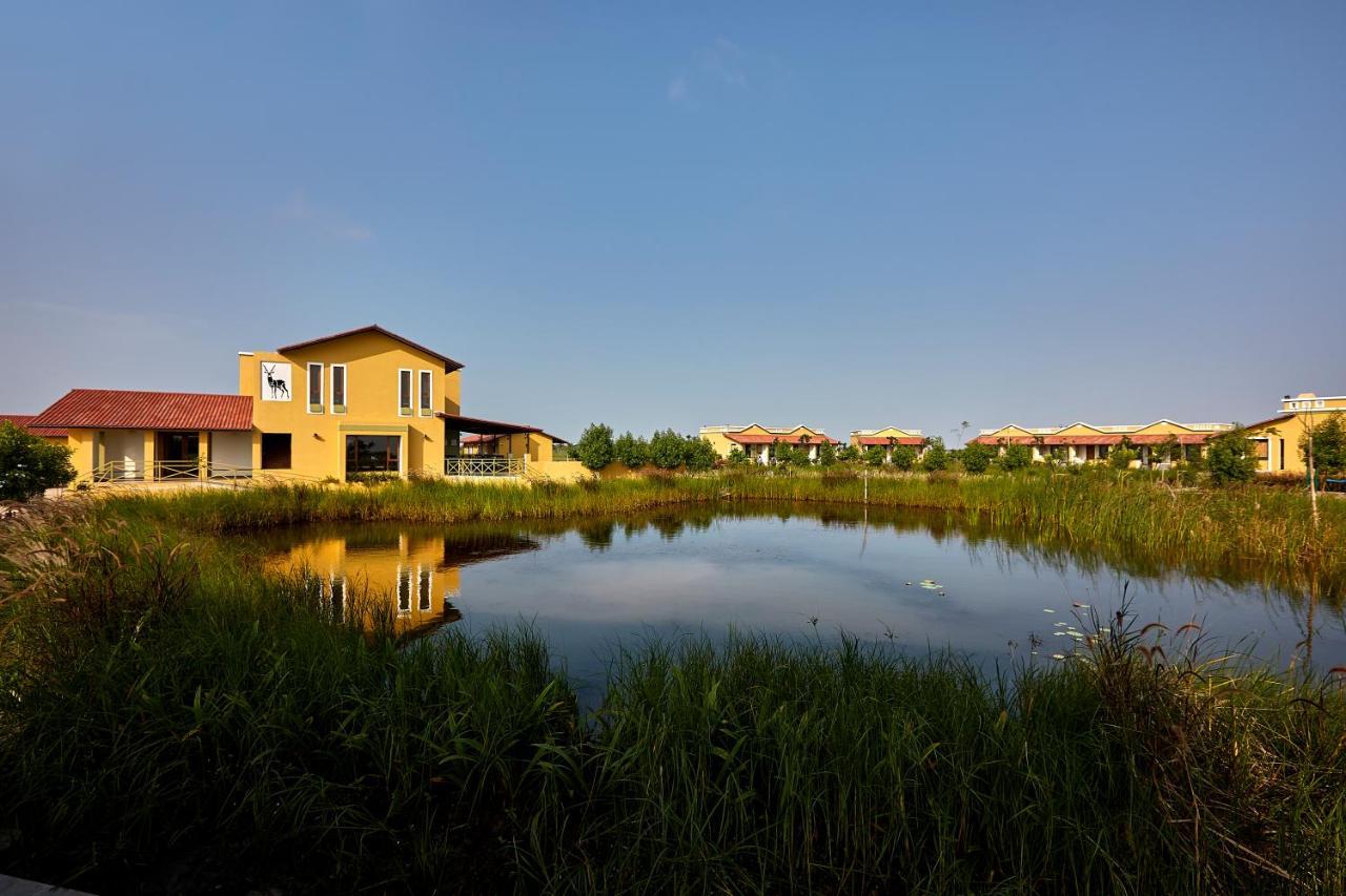 Blackbuck Safari Lodge Velavadar Bavliari المظهر الخارجي الصورة