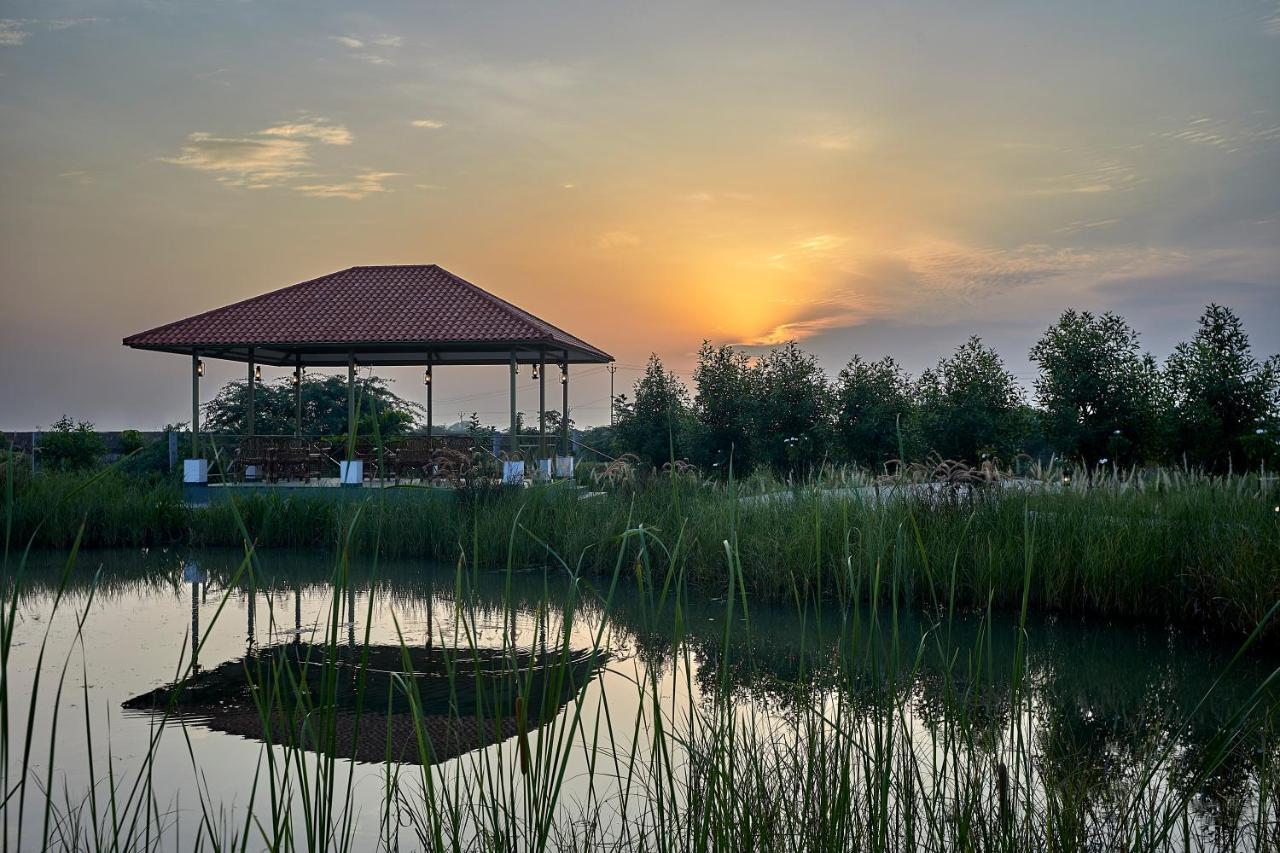 Blackbuck Safari Lodge Velavadar Bavliari المظهر الخارجي الصورة