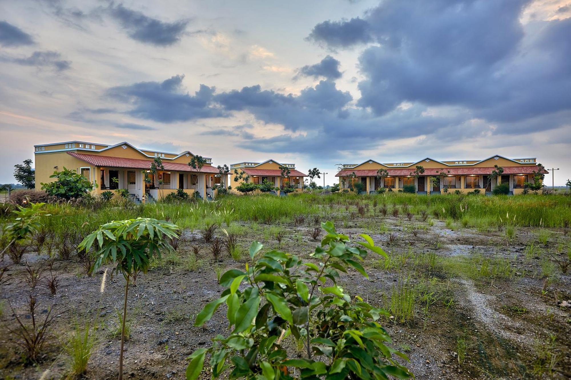 Blackbuck Safari Lodge Velavadar Bavliari المظهر الخارجي الصورة