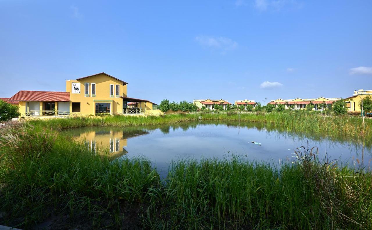 Blackbuck Safari Lodge Velavadar Bavliari المظهر الخارجي الصورة
